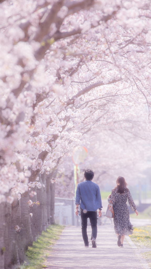 春散歩 By ひでやん Id 写真共有サイト Photohito