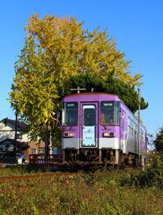 秋色鉄道