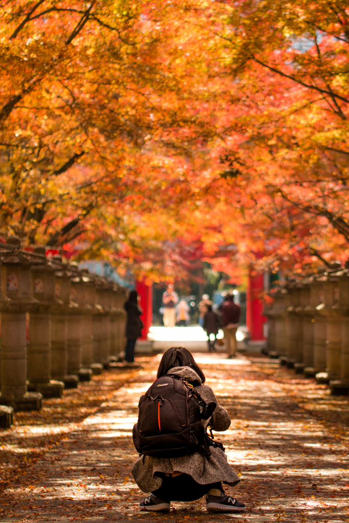 紅葉フォトグラファー