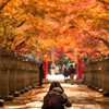 紅葉フォトグラファー