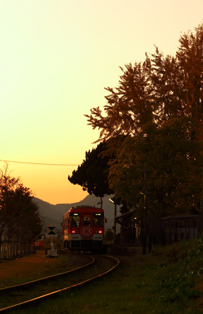 網引の夕暮れ