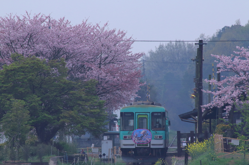 法華口の狙撃手