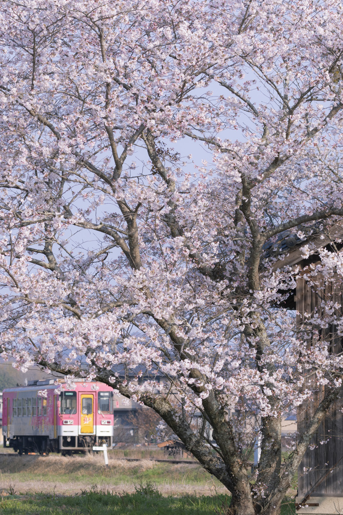 大歳神社