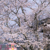 大歳神社