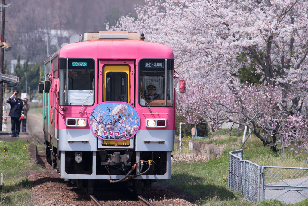 仕事帰りの撮り鉄