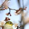 物色