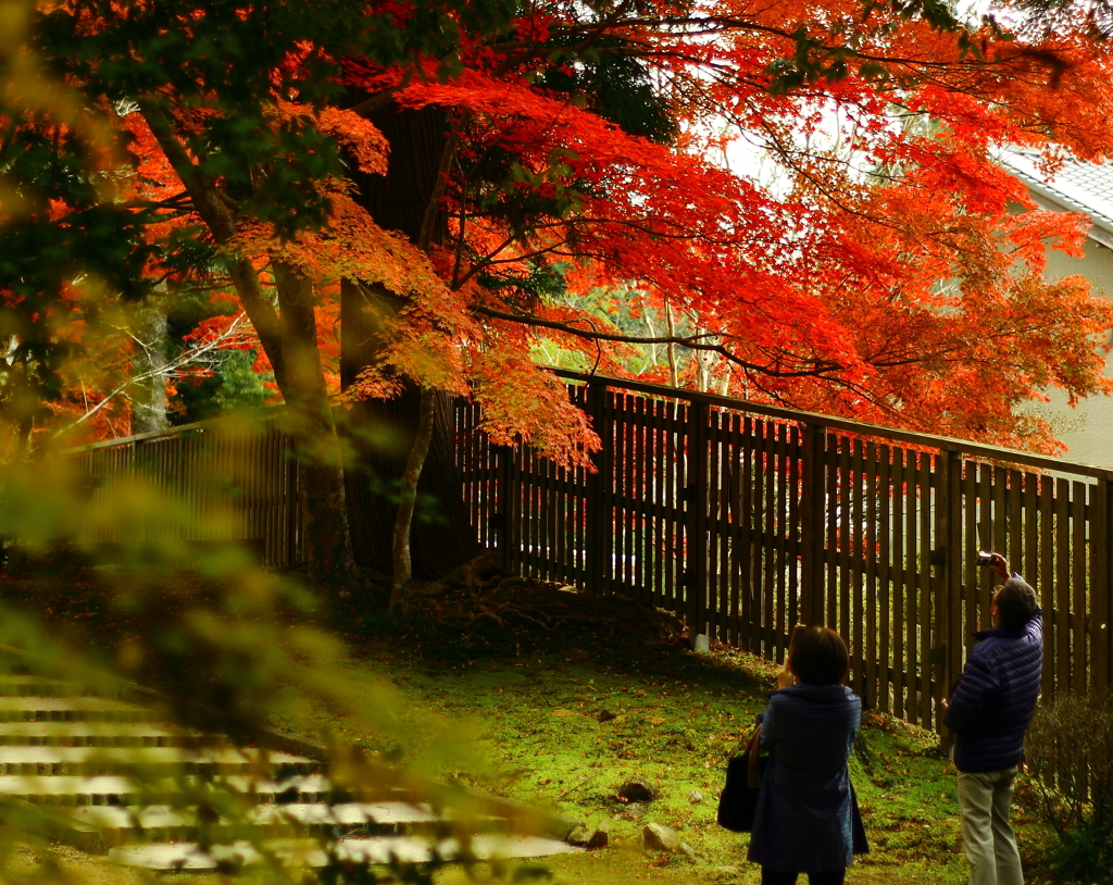 どの辺りがキレイ？
