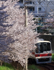 去りゆく