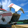 夏の離島