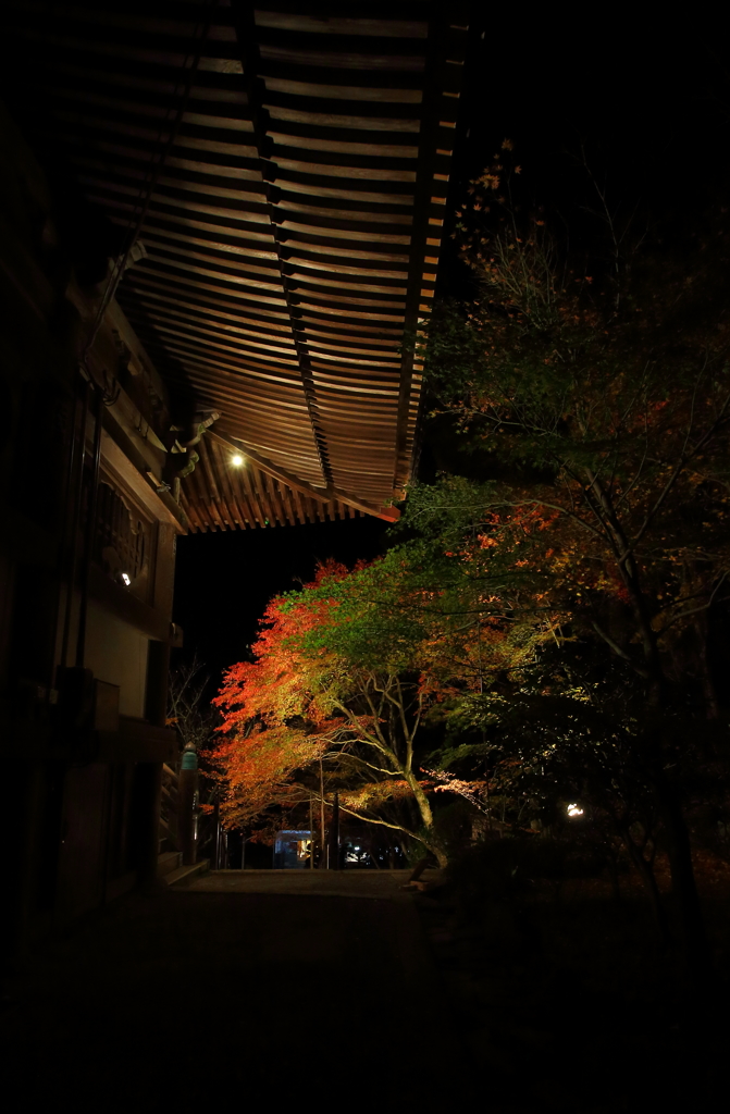 播州清水寺　