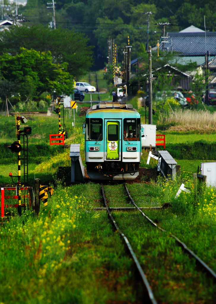 緑の風景　コッテリ仕上げ