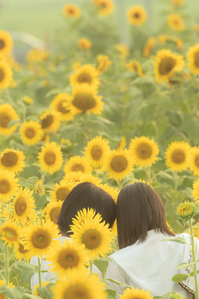夏の思い出