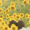 夏の思い出