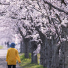 散歩道