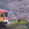 変わらぬ景色