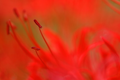 Hellfire 