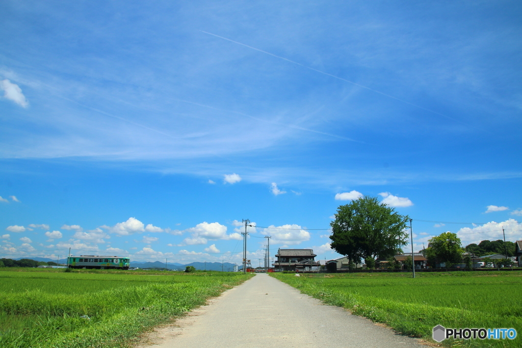 夏色