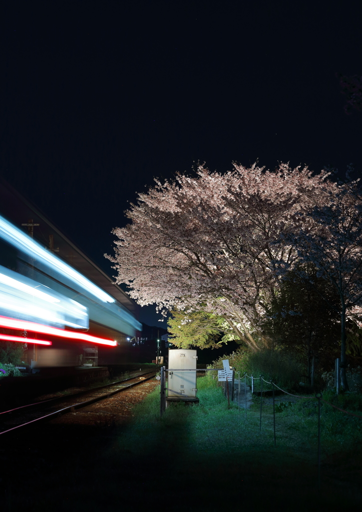 夜の法華口