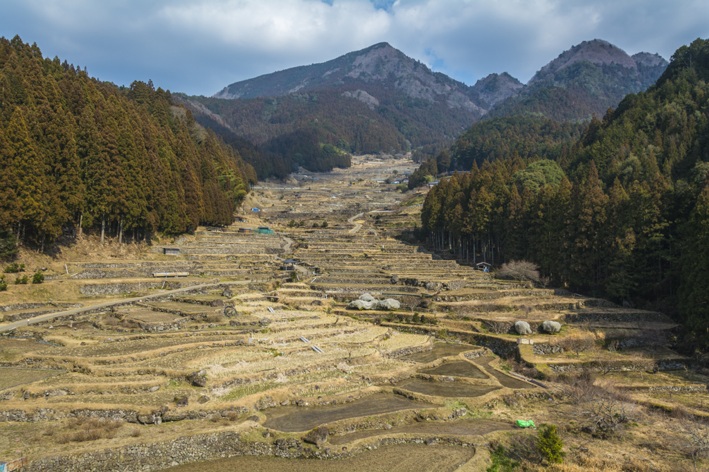 四谷千枚田(下より見上げて)