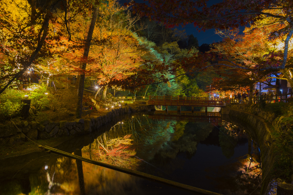紅葉ライトアップ