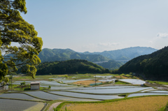 坂本棚田