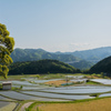 坂本棚田