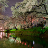 五条川夜桜②