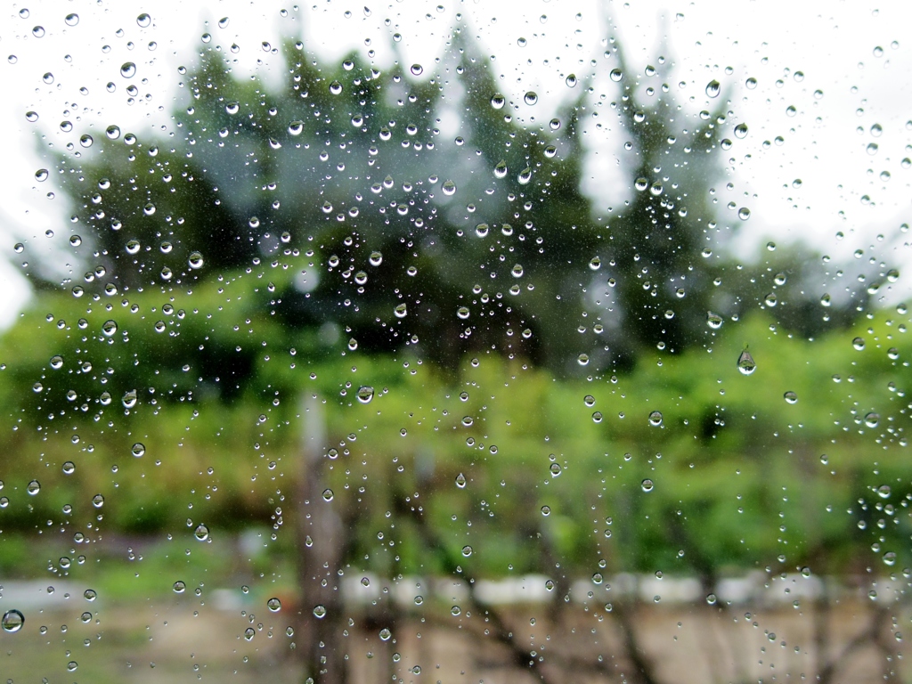 富田林市出張買取　270626　雨