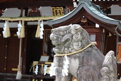 狛犬　辛國神社