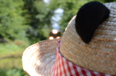 芦野公園と麦わら帽子