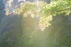 呼吸
