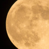 中秋の名月2　9月28日