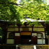 地蔵院　新緑　1
