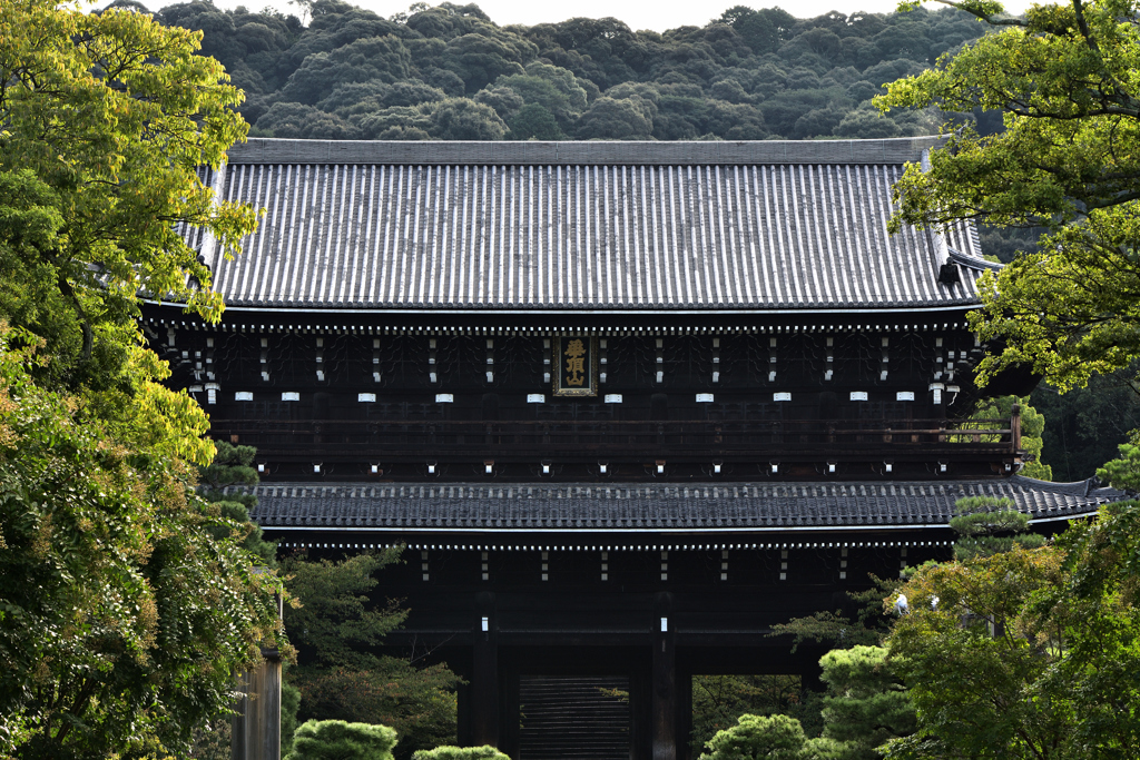 知恩院　三門