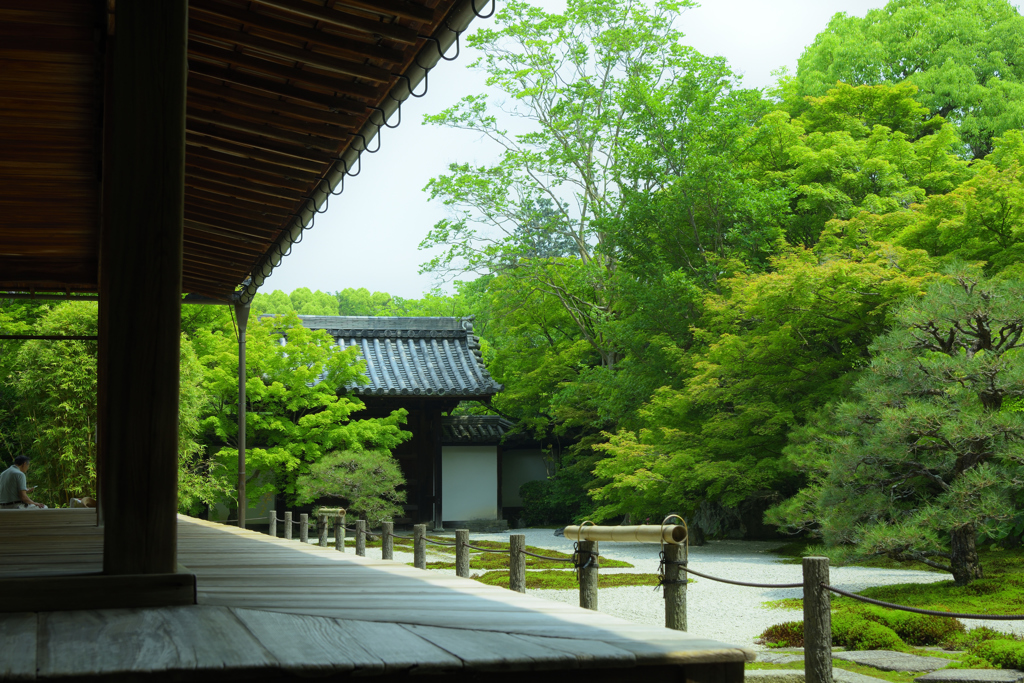 天授庵 庭園