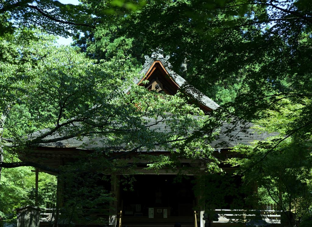 三千院　往生極楽院