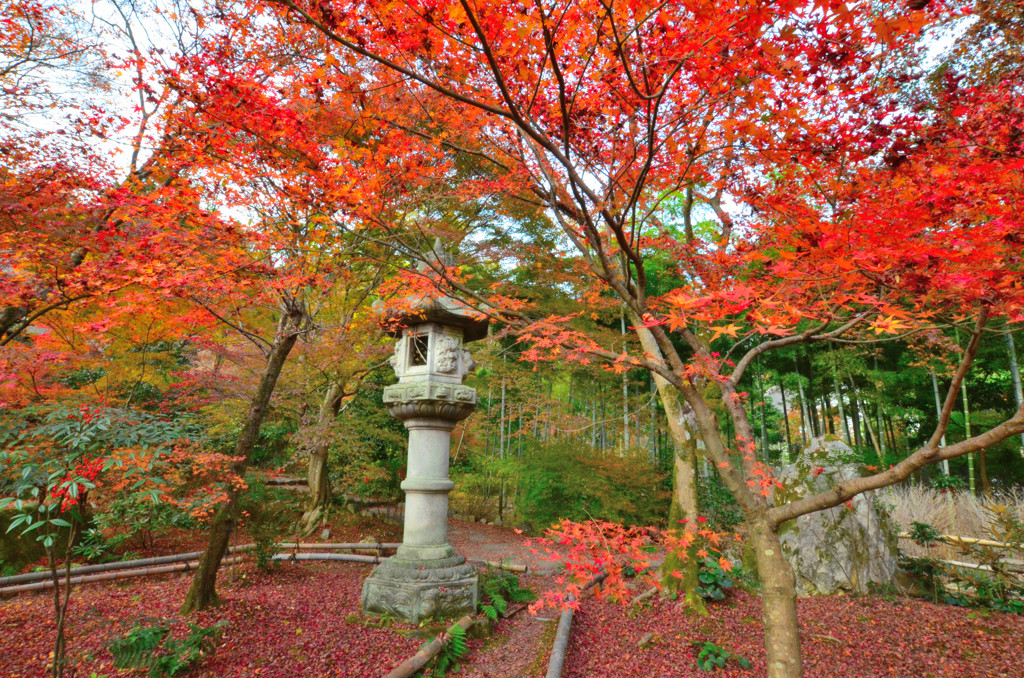 直指庵