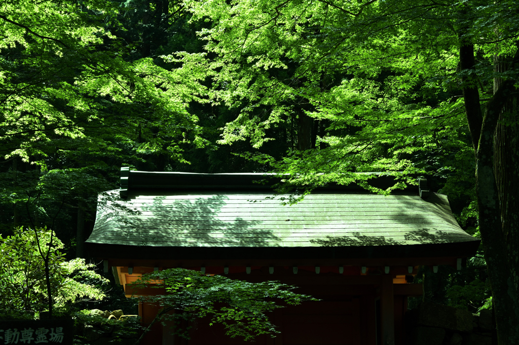 三千院　朱雀門