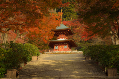 勝尾寺　参道