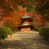 勝尾寺　参道