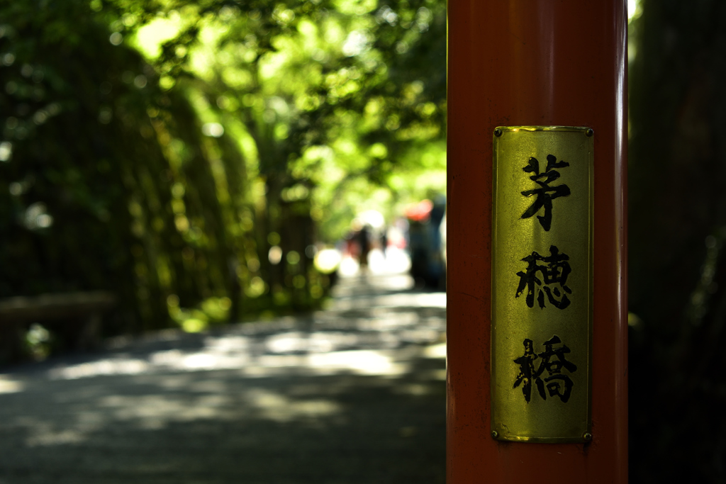 京都　大原　茅穂橋