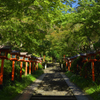 鞍馬寺　参道 2