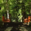 鞍馬寺　参道