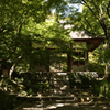 常寂光寺　新緑　1