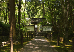 地蔵院　参道　