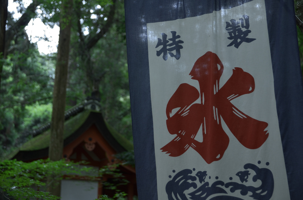 奈良公園　茶屋から2