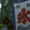 奈良公園　茶屋から2