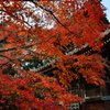 清涼寺