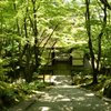 常寂光寺　新緑　3