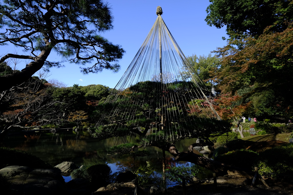 旧古河庭園